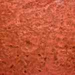 Warehouse Floor Coatings